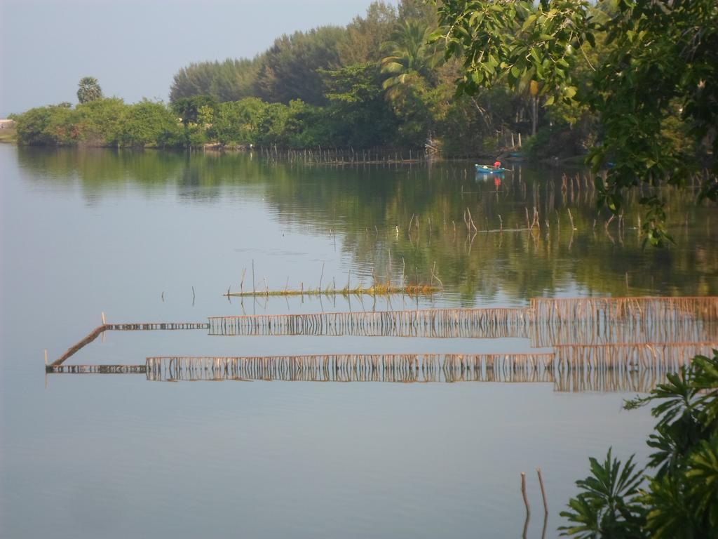 Lord Of The Forest Hotel Batticaloa Szoba fotó