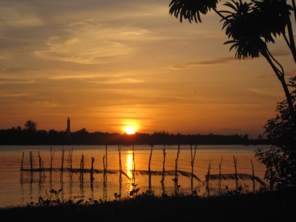 Lord Of The Forest Hotel Batticaloa Szoba fotó